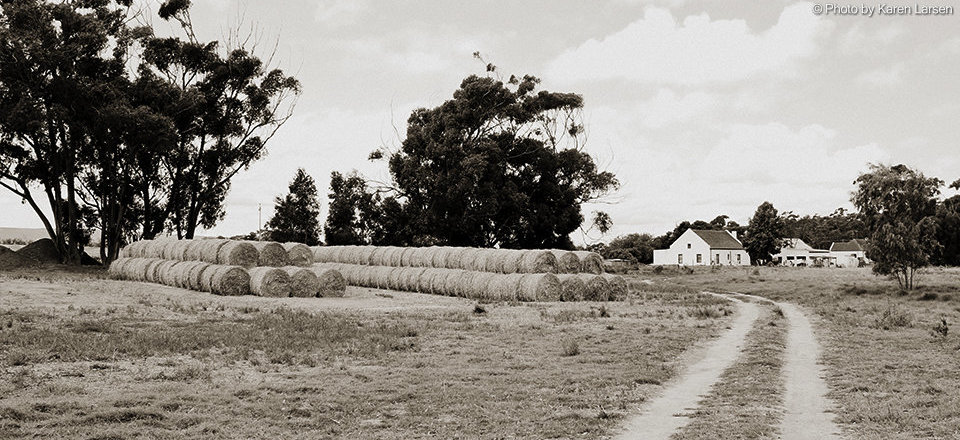 Past to Present the River Remains the Heartbeat